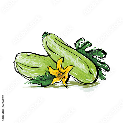 Zucchini illustration