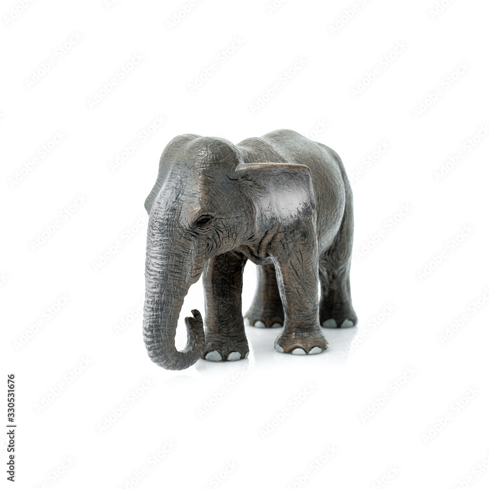 Portrait of an elephant isolated on the white background. Portrait of an elephant isolated on the white background.