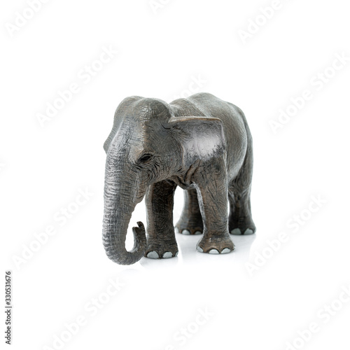 Portrait of an elephant isolated on the white background.