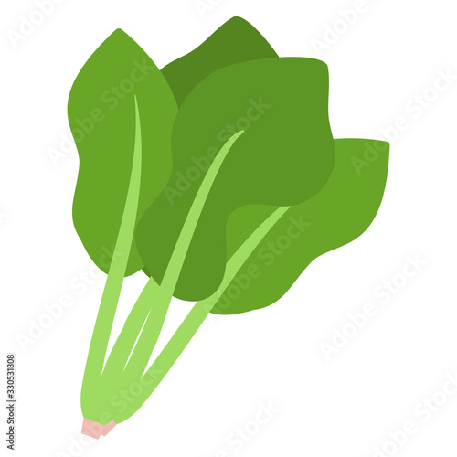 ほうれん草　野菜