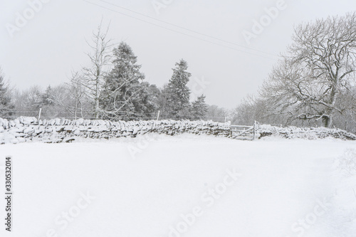 Snow covered Northumberland rural road
