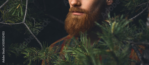 Photo Close up shot of red beard