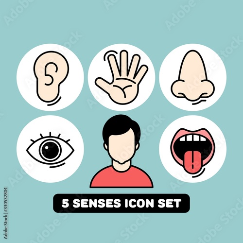 Sense organs flat vector icons. Taste, smell, touch, vision, hearing flat vector icons