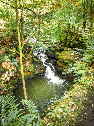 A stream flowing through a shady brook with trees and stones surrounding it. 