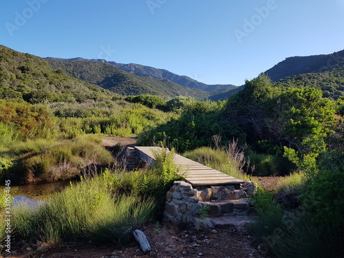 Petit pont de bois au milieu du maquis corse