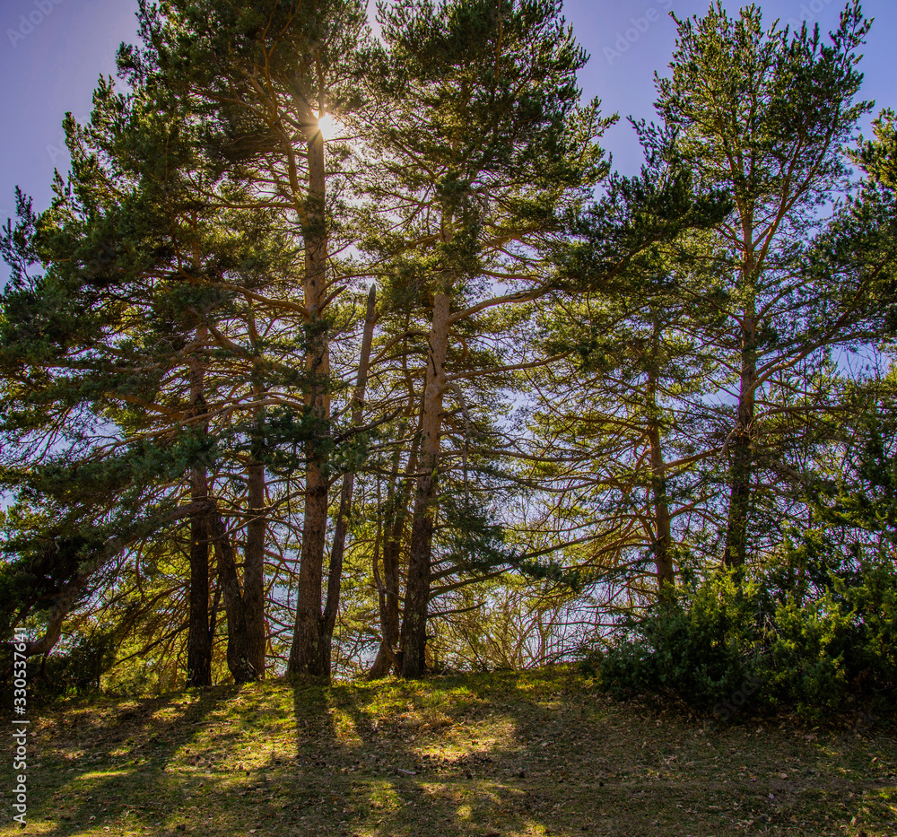 Obraz premium Breil sur Roya-Mercantour-Sentier du Mont Mangiabo