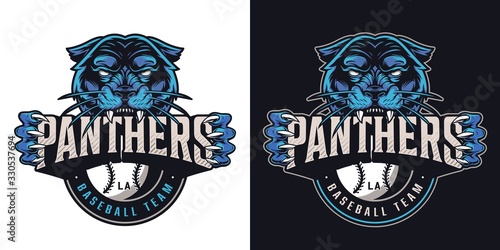 Vintage baseball sports club logotype
