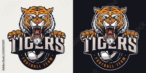 Vintage football club colorful emblem