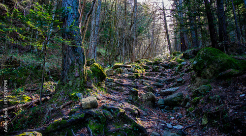 Breil sur Roya-Mercantour-Sentier du Mont Mangiabo