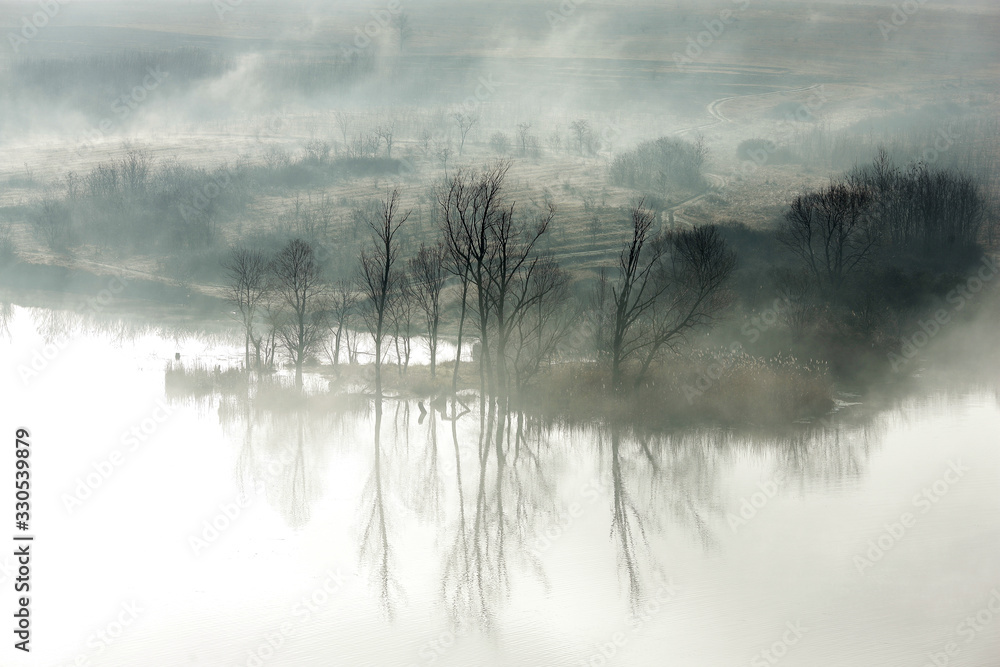 Fototapeta premium mystical foggy morning with forest and lake