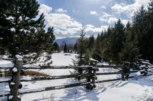 Fototapeta Naklejka Na Ścianę i Meble -  Bieszczady zimą 