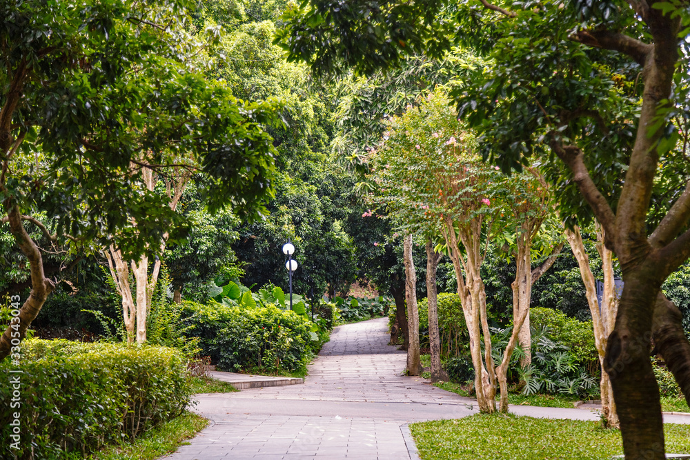 Tropical Park Alley