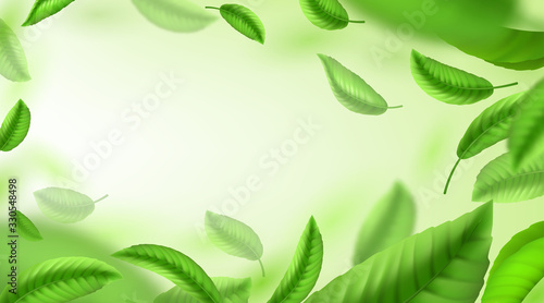 Tea leaves background. Realistic green falling and whirling leaves, banner for advertising and packaging design. Vector illustration green tea rain background
