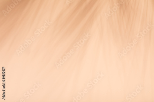 Flat with neutral color palm shadow on natural tones background. Summer vacat...