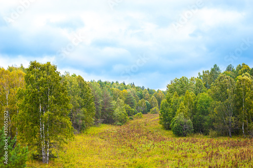 field and mixed forest against the blue sky