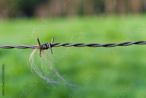 Photos barbed wire