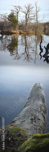 Vertikales Panorama am Seehamer See photo