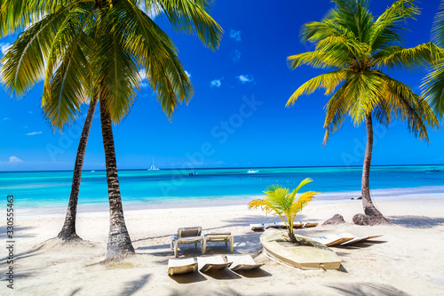 Fototapeta Naklejka Na Ścianę i Meble -  Palm trees with lounge chairs on the caribbean tropical beach. Saona Island, Dominican Republic. Vacation travel background