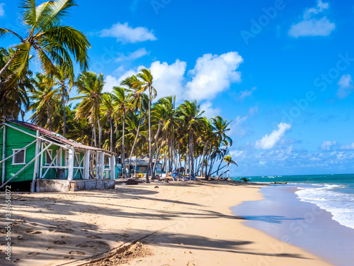 A calm Caribbean beach with a beach hut and blue sky clouds and palm trees. © Garry Basnett