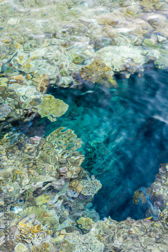 Fototapeta premium aerial landscape top view of Red sea bottom with coral reefs through aquamarine transparent water surface south tropical nature background photography. vertical photo