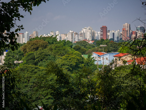 São Paulo cityscape framework