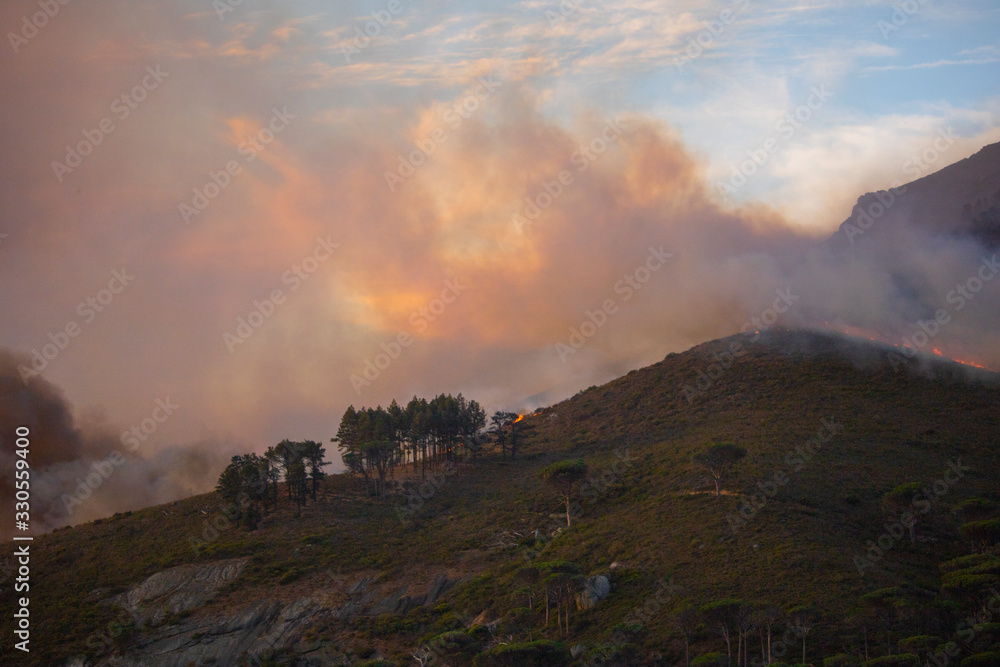 Fototapeta premium Dramatic wildfire with gale force winds on Lion's Head Mountain, Cape Town.