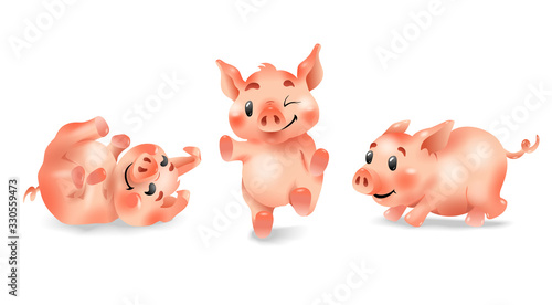 Little funny piglets  play and frolic