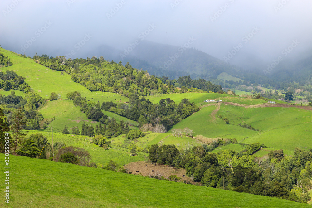 Lush green mountain landscape with fog and clouds hugging mountains