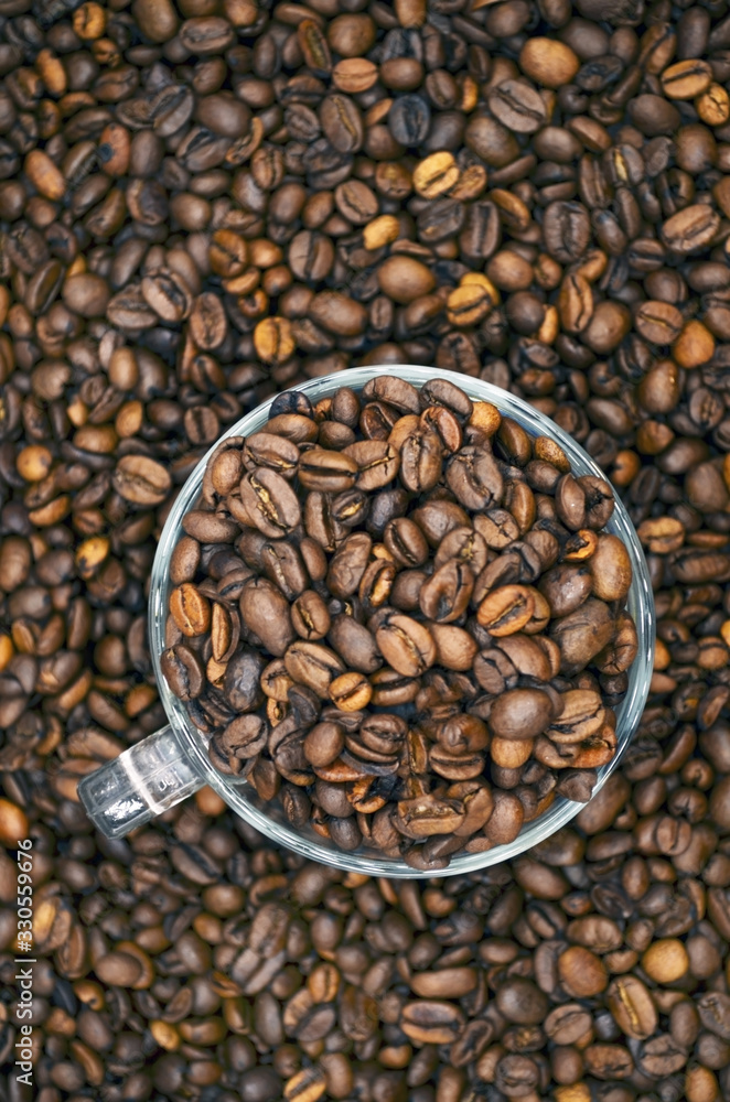 Fototapeta premium Coffee beans. Arabica Robusta. Black coffee.