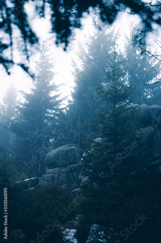 Mystische Wälder im sagenhaften Harz © ohenze