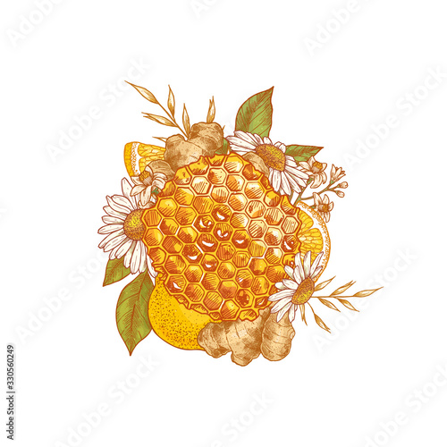 Honeycomb, chamomile, ginger and lemon colored composition. Honey and elements engraved vintage style. Vector illustration