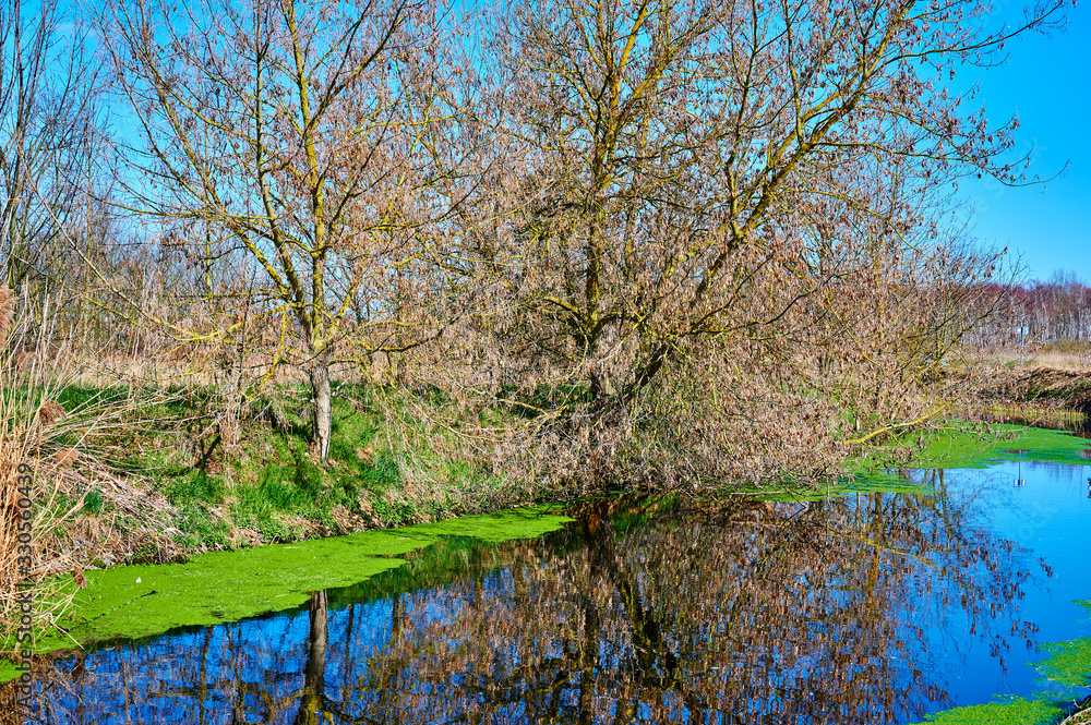 View over a small creek with wonderful reflections on the water in the surrounding of Berlin, Germany.