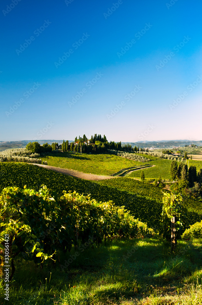 Toscana - Tra le colline di Vinci