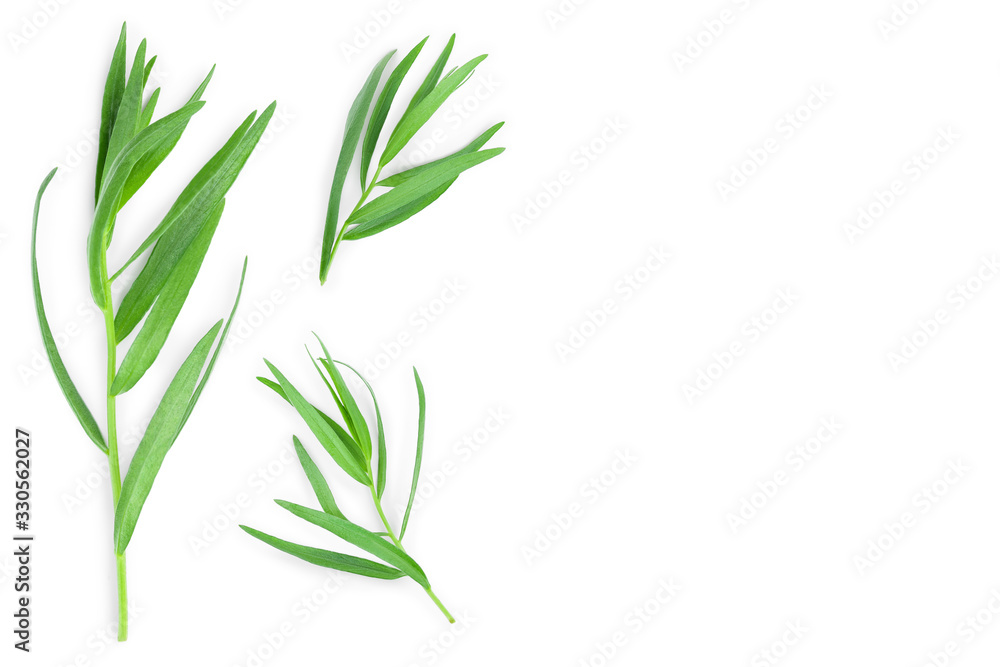Naklejka premium tarragon or estragon isolated on white background with copy space for your text. Artemisia dracunculus. Top view. Flat lay