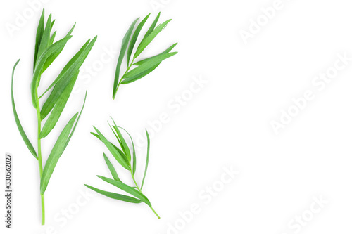 Fototapeta Naklejka Na Ścianę i Meble -  tarragon or estragon isolated on white background with copy space for your text. Artemisia dracunculus. Top view. Flat lay
