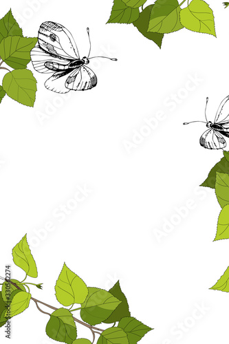 Stylish greeting card green twig of birch with young leaves a white butterfly, cartoon drawing, escape with foliage. Black white isolated. Vector illustration on the theme of the spring, summer season