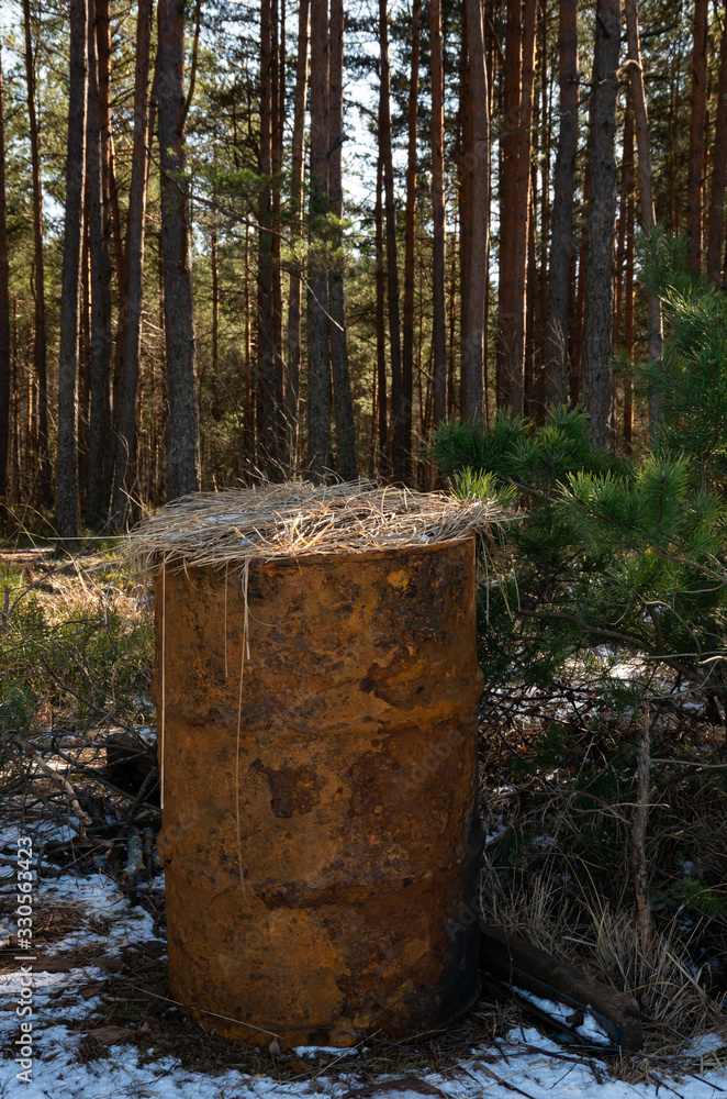 Fototapeta premium Old rusty barrel in the forest with haulms