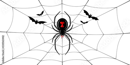 Spider Black Widow, cobweb, bats. Red black spider 3D, spiderweb, isolated white background. Scary Halloween decoration web. Symbol networking, animal arachnid, creepy insect fear. Vector illustration