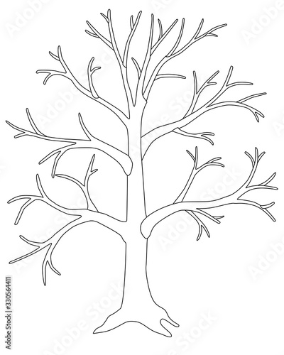 A large tree without leaves is a vector linear picture for coloring. A tree in winter or autumn without foliage with a trunk, branches and root. Outline. Hand drawing.
