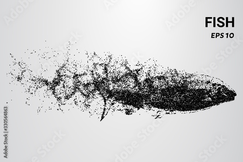 Fish from the particles. The fish consists of circles and dots. The fish splits into molecules.