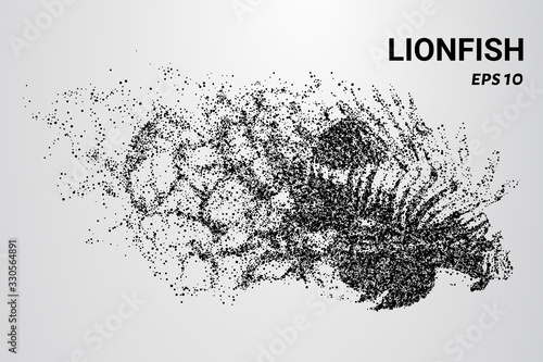 Lion fish from the particles. The lion fish consists of circles and dots. Lion fish falls apart on the molecule.