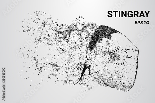 Stingray of the particles. Stingray consists of circles and dots. Stingray breaks down into molecules.