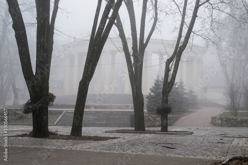 Fog in the park_2