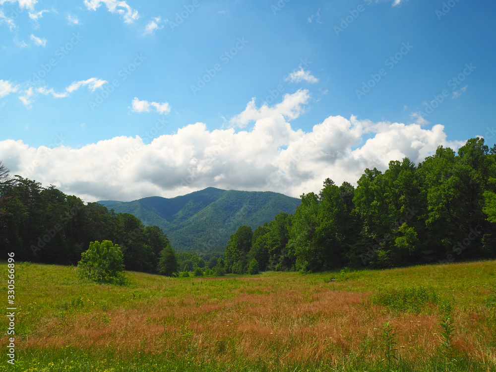 Obraz premium Grassy Tree-lined Valley in Cades Cove