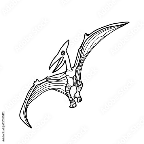 Dinosaur Pterodactyl or Pteranodon coloring book for children and adults.Hand drawn antistress coloring page. Vector outline T Rex illustration