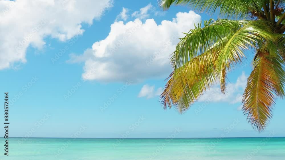 Sunny day on the sunny beach background. Dominican Republic amazing tropical landscape. Sunny day on the sunny beach background. Dominican Republic amazing tropical landscape.