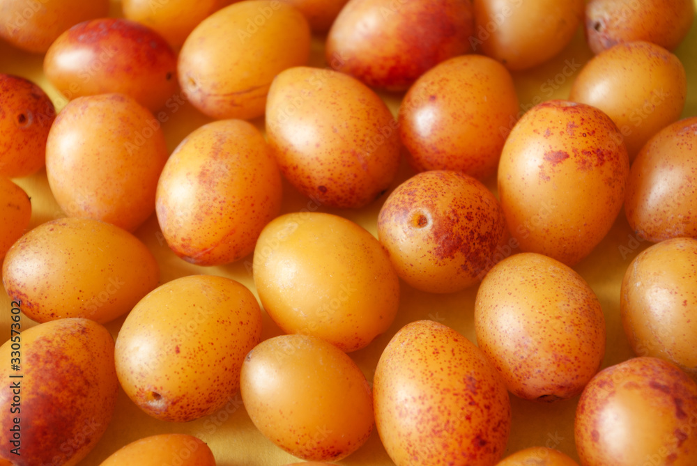 Bright yellow plum background. Freshly gathered plum. Close-up. Bright yellow plum background. Freshly gathered plum. Close-up.
