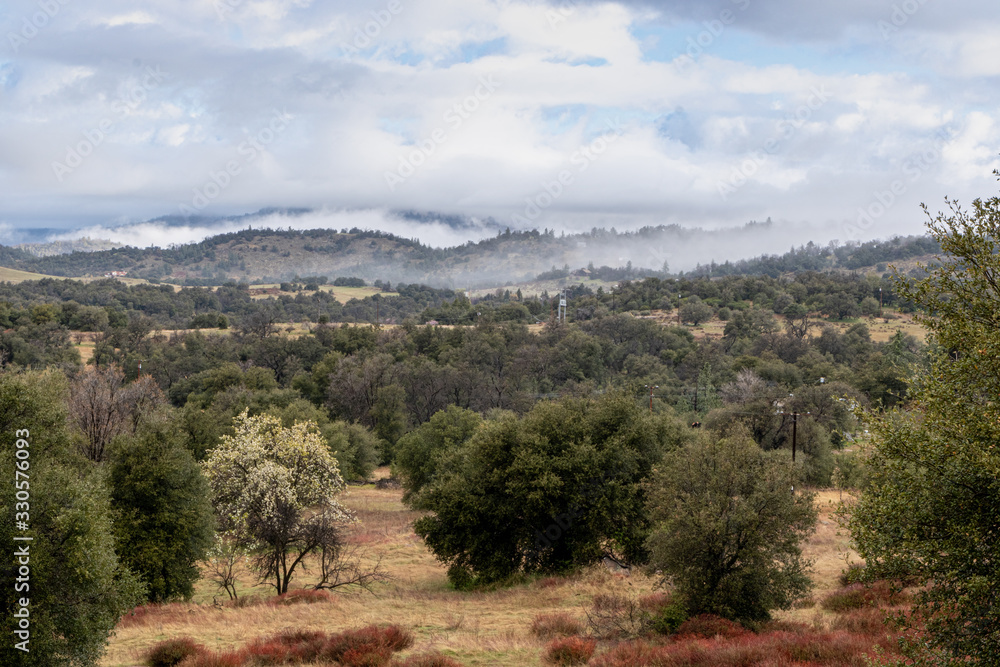 Clouds and mist over rolling hills in spring time with pear tree in bloom, coastal live oaks and buckwheat in Julian California landscape
