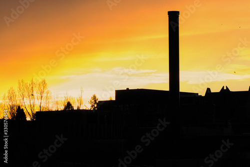 2020-03-09 SUNSET AT THE BOTANICAL GARDENS ON THE UNIVERSTIY OF WASHINGTON photo