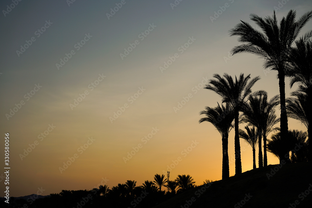 landscape dawn sky palms and hotel in Egypt